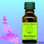 Eisenkraut