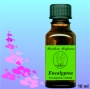 Eukalyptus