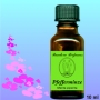 Pfefferminze